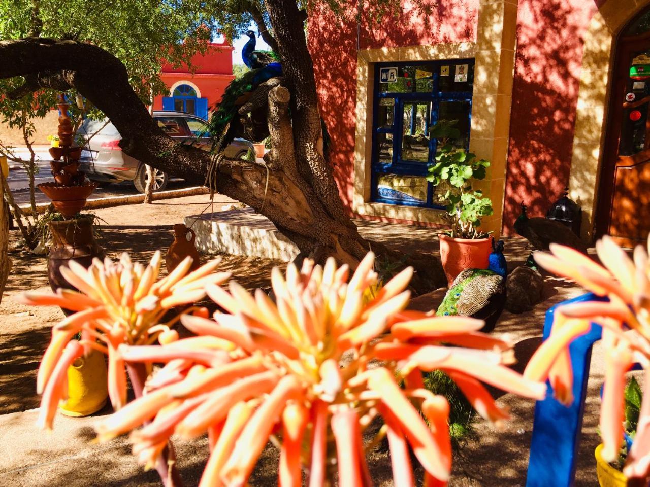 Camping & Hotel Le Calme Essaouira Exterior photo